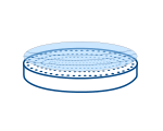 Warped Wafer Clamping (SV chuck)